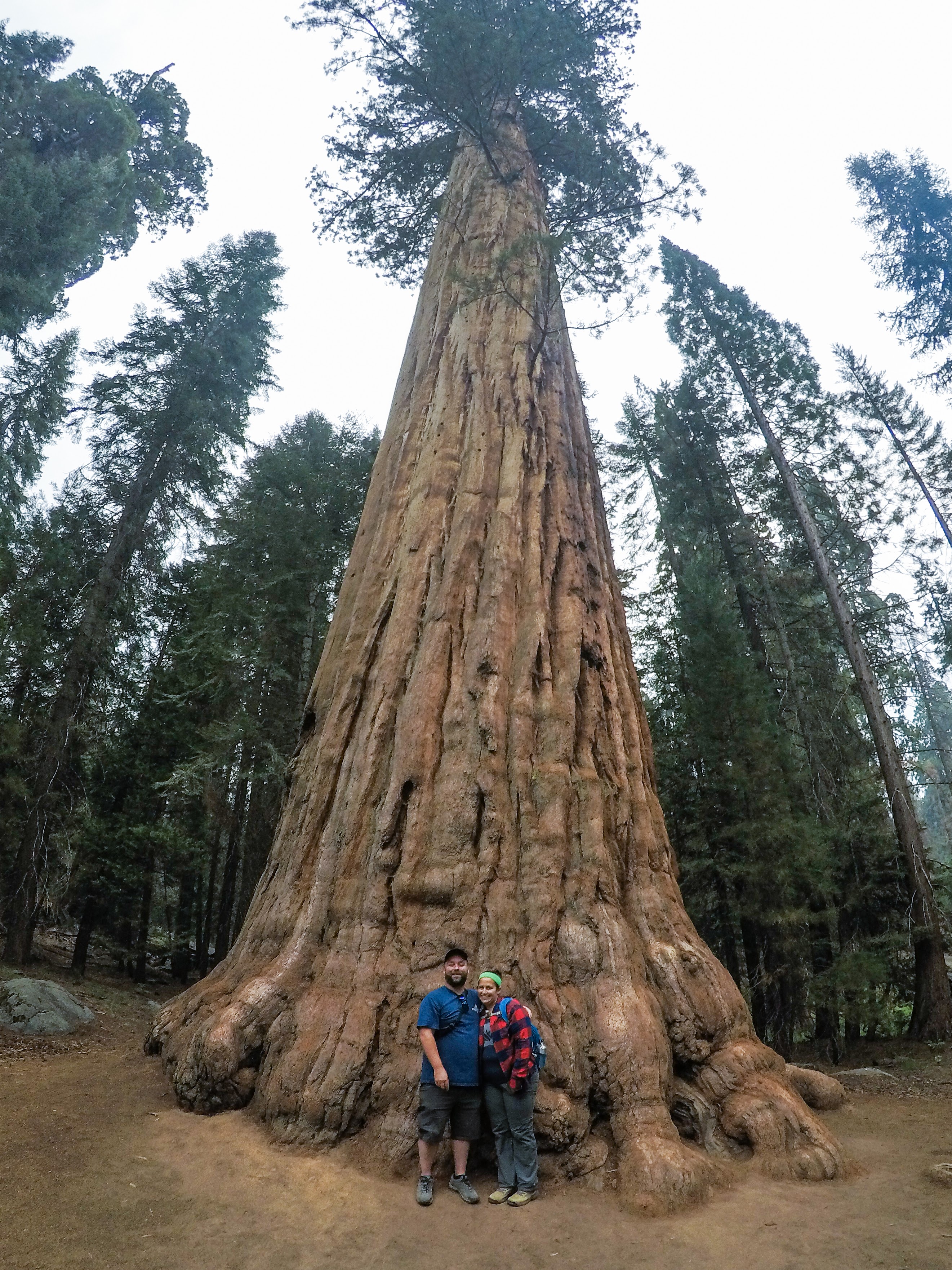 Sequoia-21.jpg
